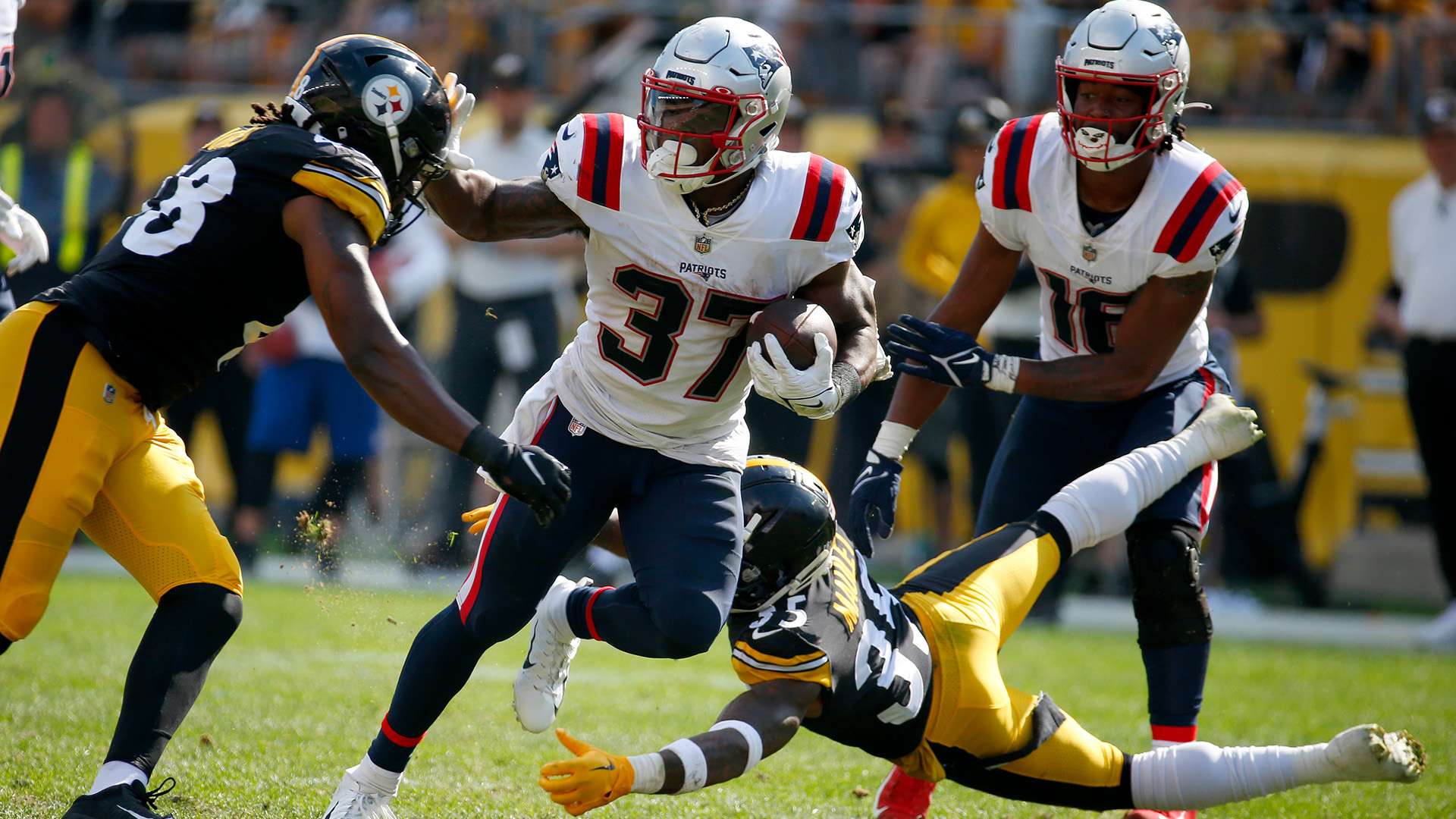 强调了借助 强调了借助